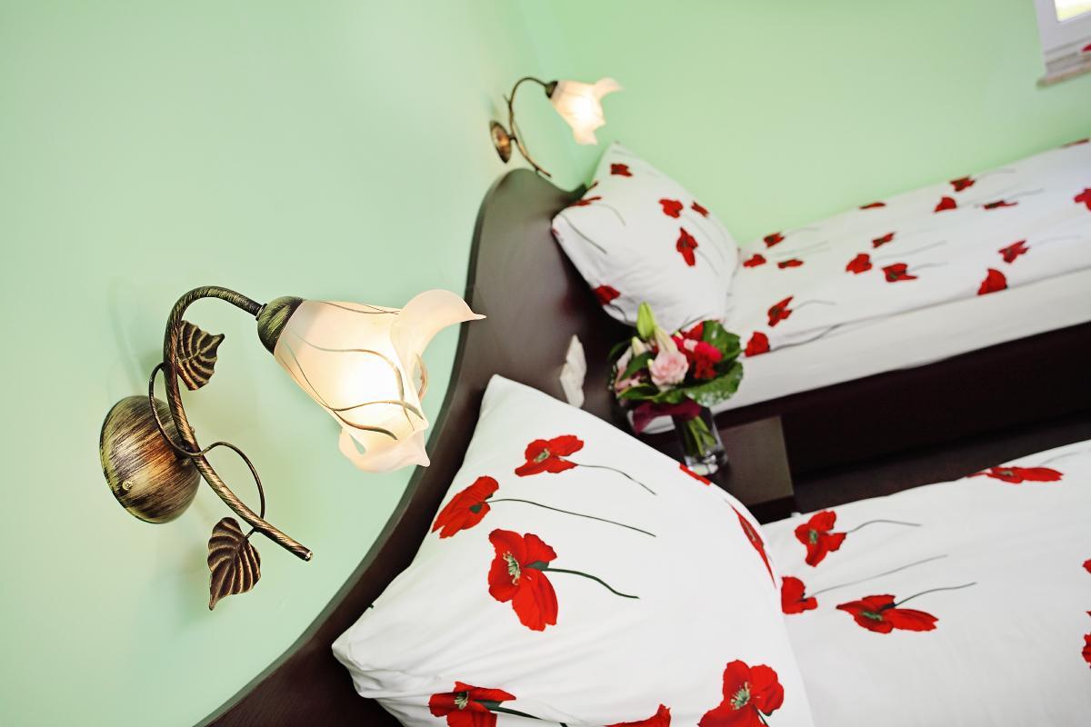 Hotel Albatros Wąsosz Dış mekan fotoğraf